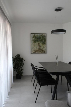 Modern and spacious 2 bedroom apartment
